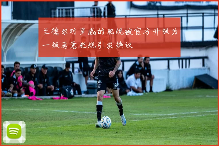 兰德尔对罗威的犯规被官方升级为一级恶意犯规引发热议