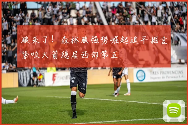 狼来了！森林狼强势崛起追平掘金紧咬火箭稳居西部第五
