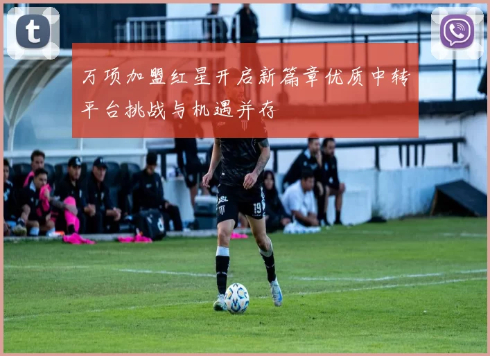万项加盟红星开启新篇章优质中转平台挑战与机遇并存